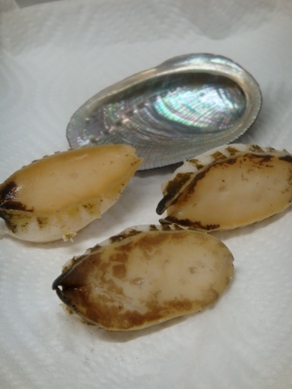 tokobushi20080715-003.JPG