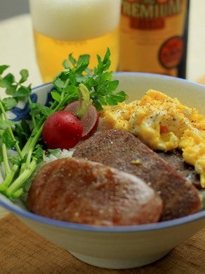 spamdon20100616-007
