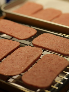 spamjerky20100509-002