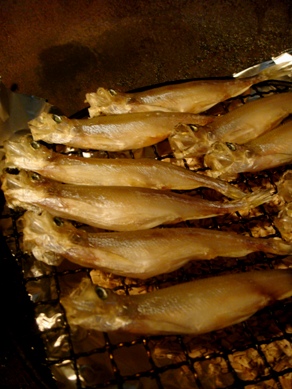 komochi20080829-003.JPG