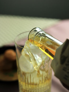 20150217umeboshi-006
