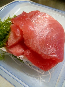 toro20080522-001.JPG