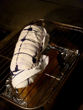 ham20090414-004.JPG