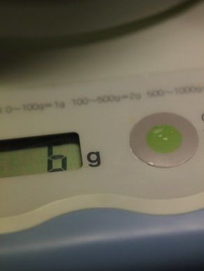 hitonigiri20101121-005