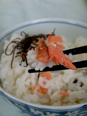 sakecha20090822-003.JPG