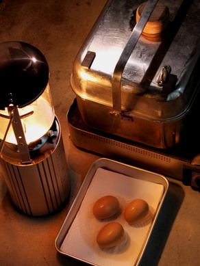 egg20100207-002