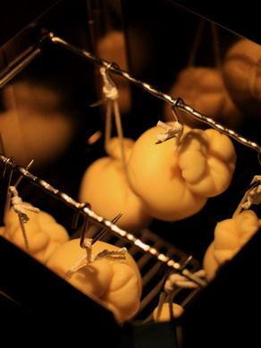 caciocavallo20110308-005