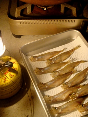 komochi20080829-002.JPG