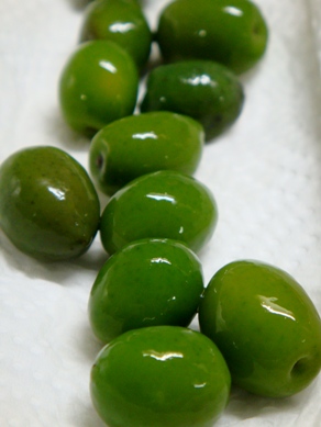olive20081106-002.JPG