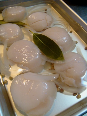 hotate20080728-004.JPG