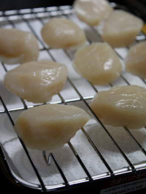 hotate20100107-007
