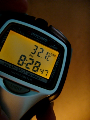 hotate20091001-007.JPG