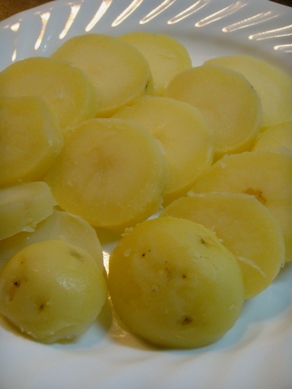 potato20080804-001.JPG