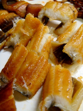 anago20080529-006.JPG