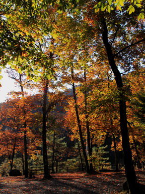20111206camp-006