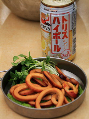 20110504niika-005
