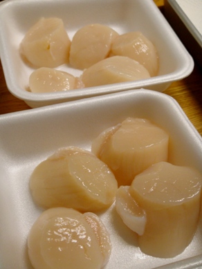 hotate20091001-001.JPG