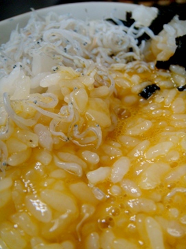 tamago20080519-003.JPG