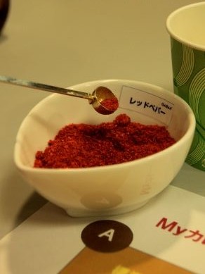 20121004spiceseminer-013