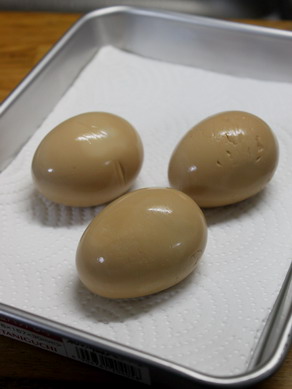 egg20100207-001