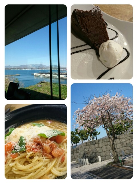 collage-1558689894468