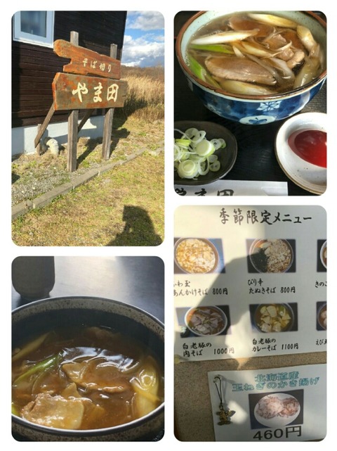 collage-1605189504352