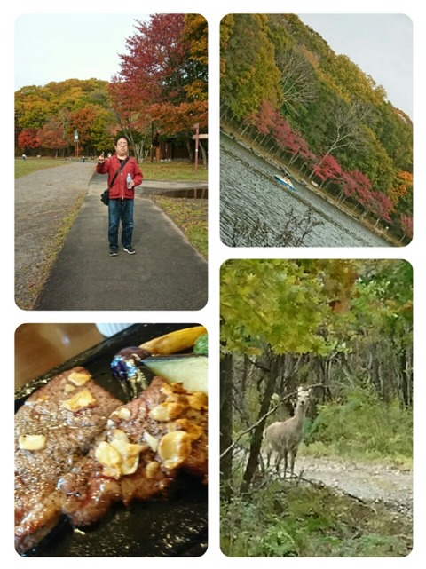 collage-1572528104124