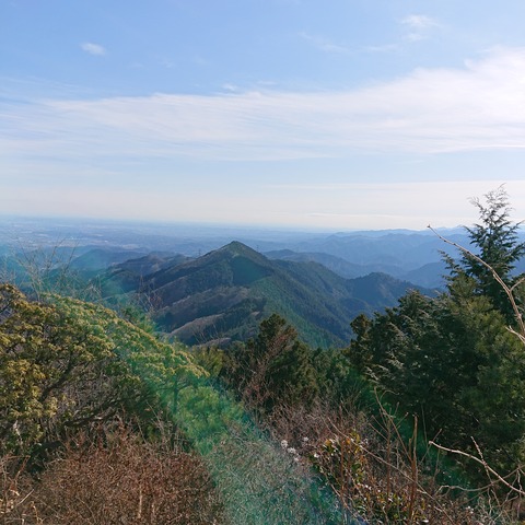 DSC_1109