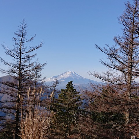 DSC_1129
