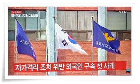 YTN⑤