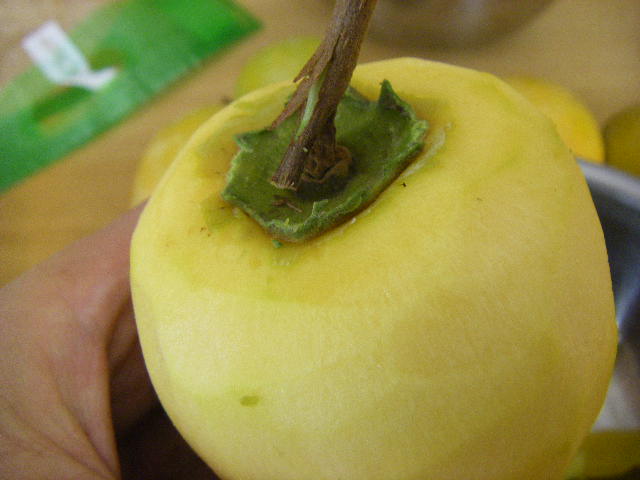 IMGP0005