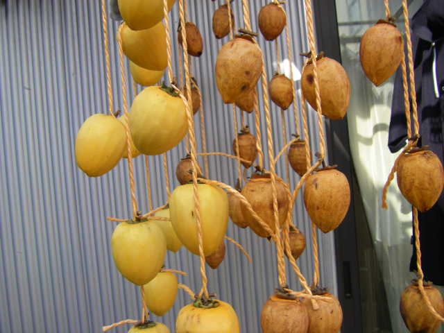 IMGP0009
