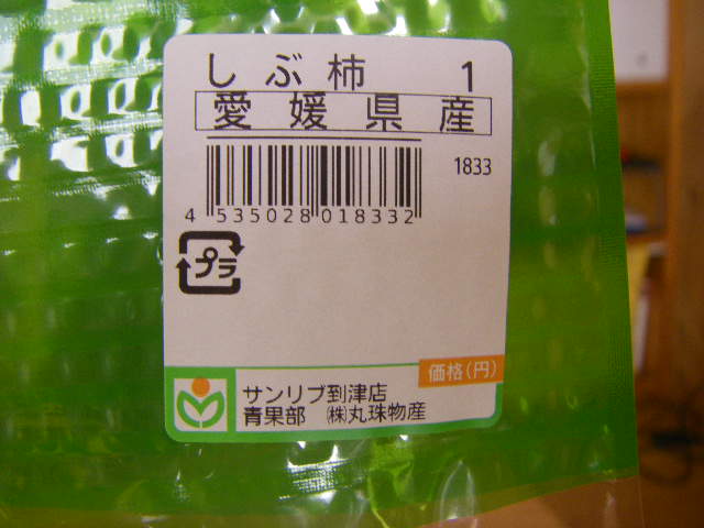 IMGP0002