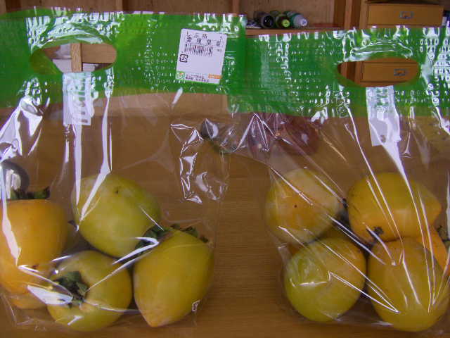 IMGP0001