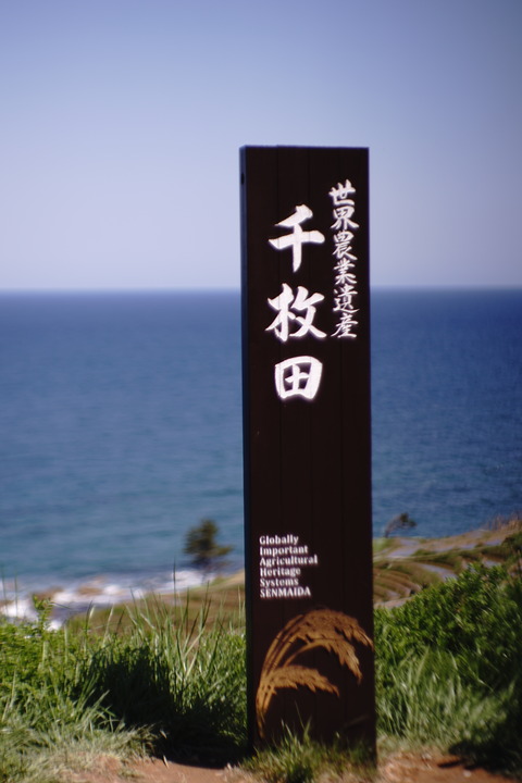 DSC04115