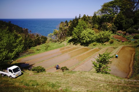 DSC04008