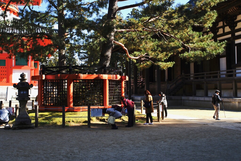 滞在時間より長かった上りの渋滞 高野山の紅葉2019 クピの蒼い風 滞在時間より長かった上りの渋滞 高野山の紅葉2019 クピの蒼い風