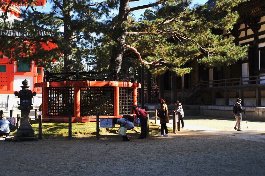 滞在時間より長かった上りの渋滞 高野山の紅葉２０１９ クピの蒼い風