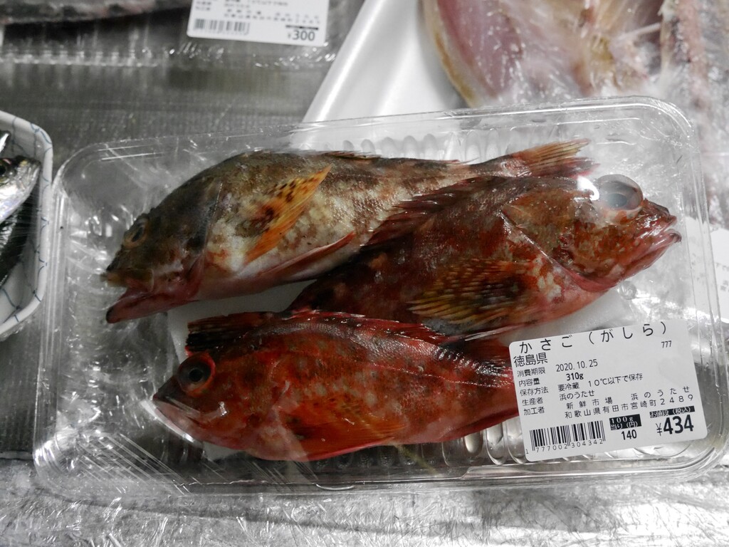 魚を捌くのは主人 調理はあたし クピの蒼い風