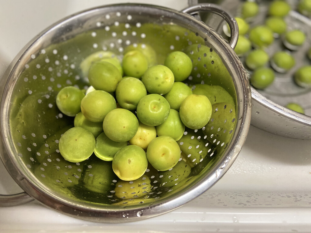 初夏の梅仕事 クピの蒼い風 初夏の梅仕事 クピの蒼い風