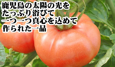 kaneuji11