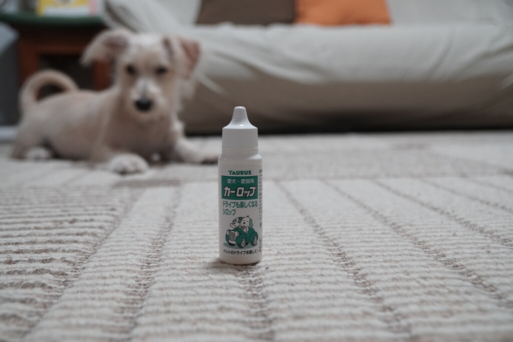 くおんの車酔い薬 カーロップ クピの蒼い風