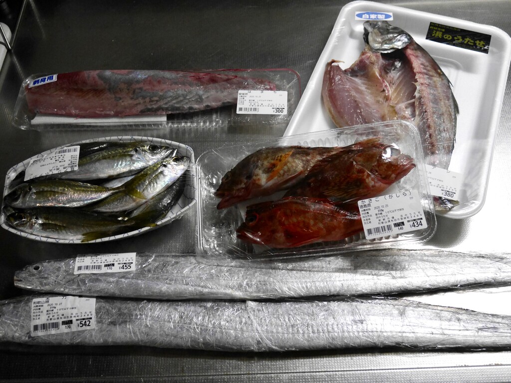 魚を捌くのは主人 調理はあたし クピの蒼い風