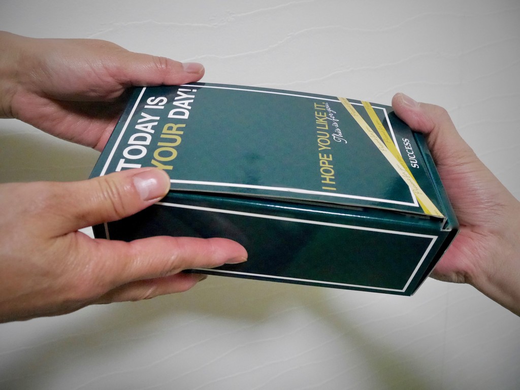 アブラさよなら 濃密泡でさらさら洗顔 サクセス スキンコンディショニング泡洗顔 クピの蒼い風