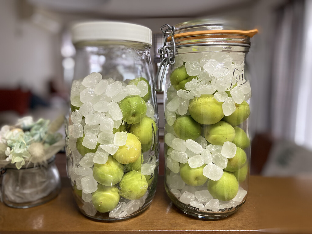 初夏の梅仕事 クピの蒼い風