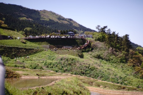 DSC04081(変換後)