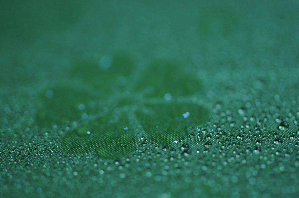 濡れると桜の柄が浮きでる 和傘 クピの蒼い風 濡れると桜の柄が浮きでる 和傘 クピの蒼い風