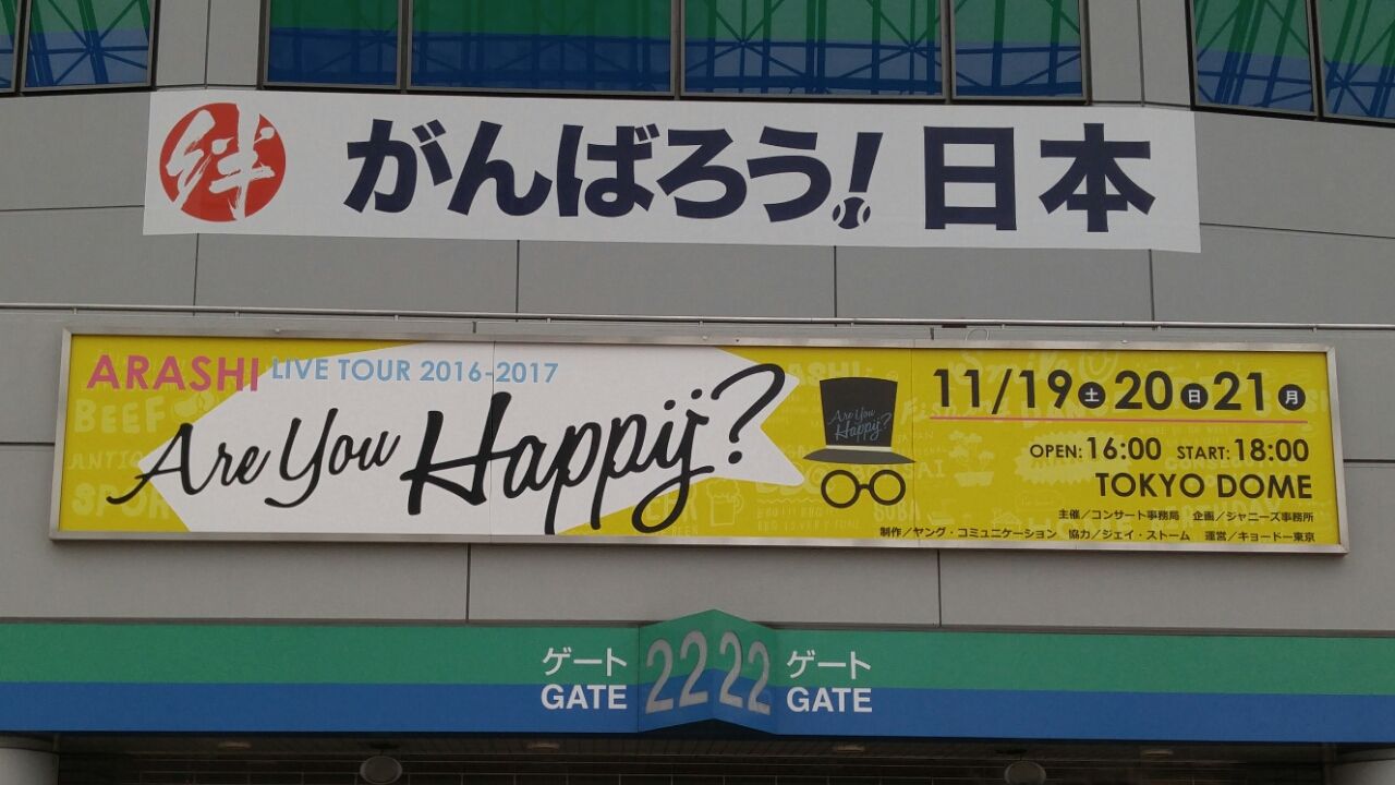 あゆはぴコンオブジェ 猫テマ工房