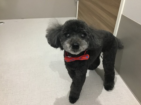 6033017B-0DE7-4530-974F-732EAB9DF66E