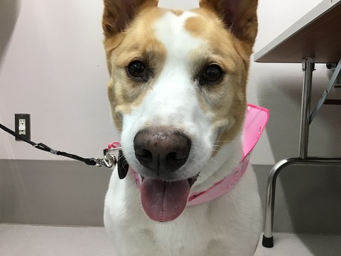 IMG_6748